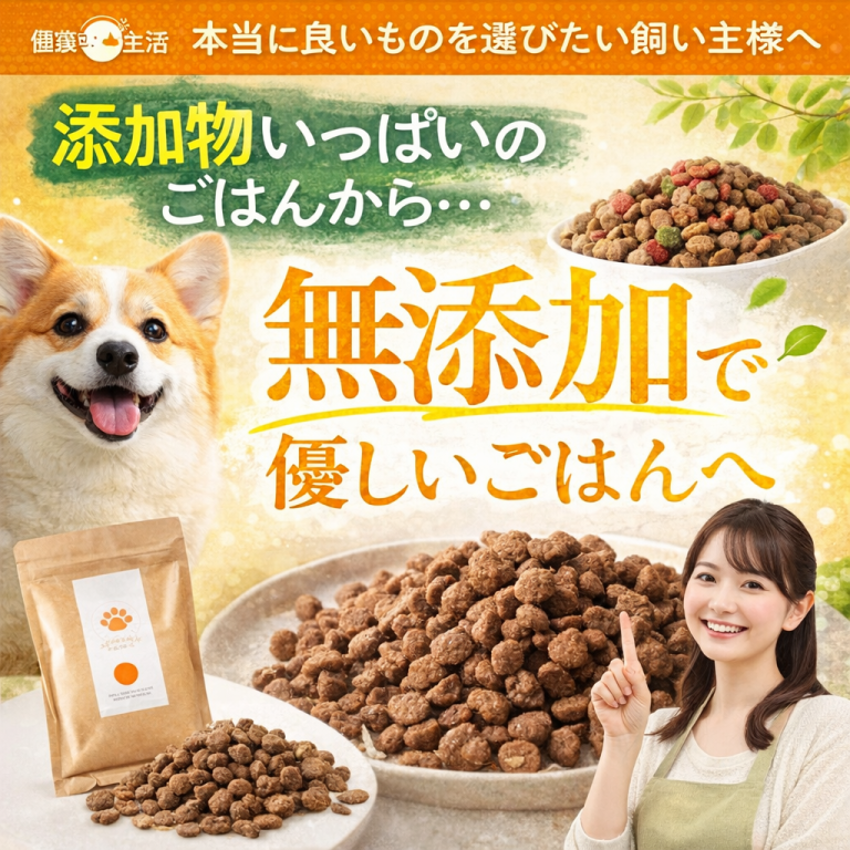 「九州旅ネット」公式観光PR