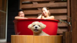 TOWAピュアコテージ